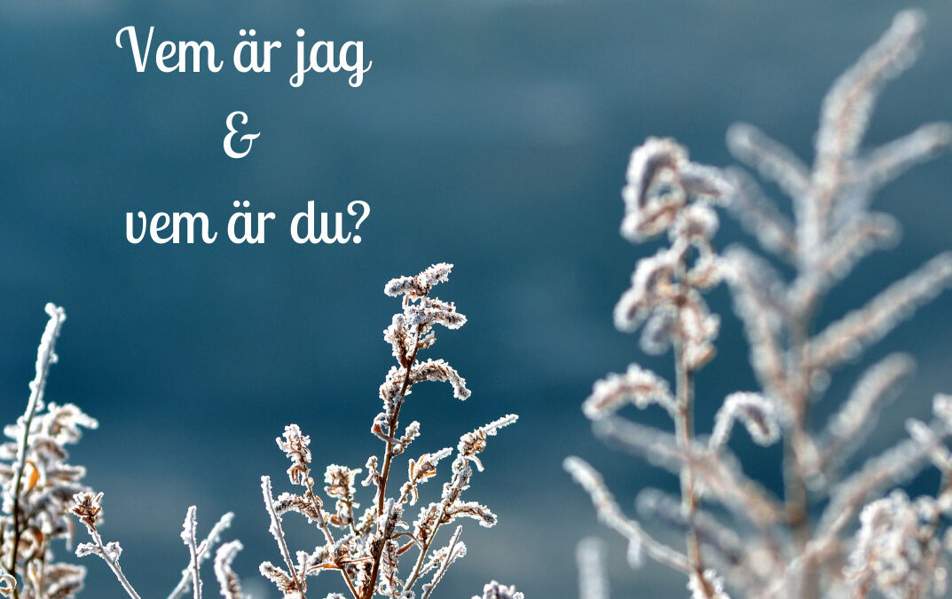 Varm välkommen till min blogg.